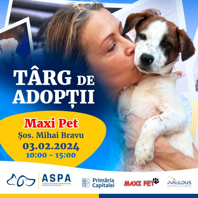 03 Feb 2024 | Maxi Pet Mihai Bravu