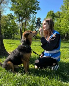 Beneficiile Esențiale ale Dresajului Canin pentru o Relație Armonioasă